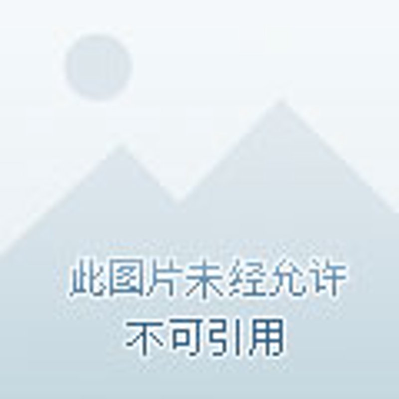 聚焦商业物业：洞察市场新趋势